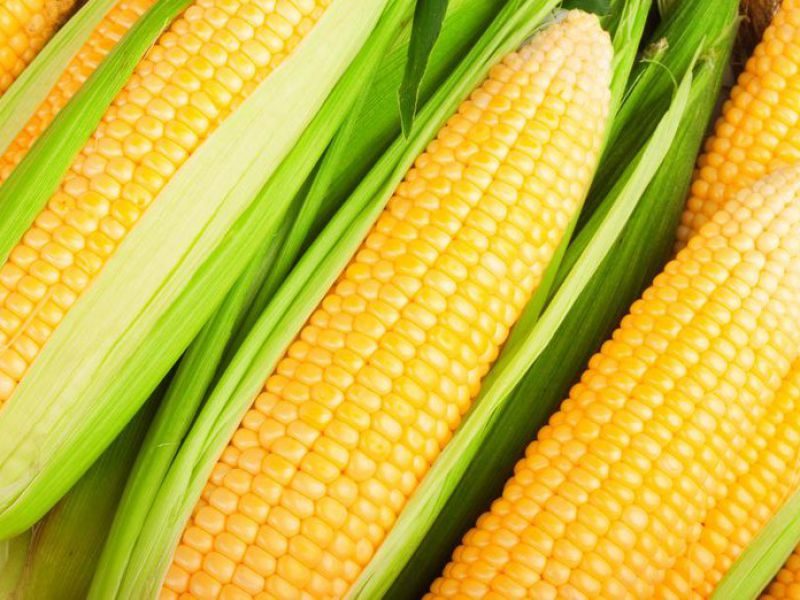 corn