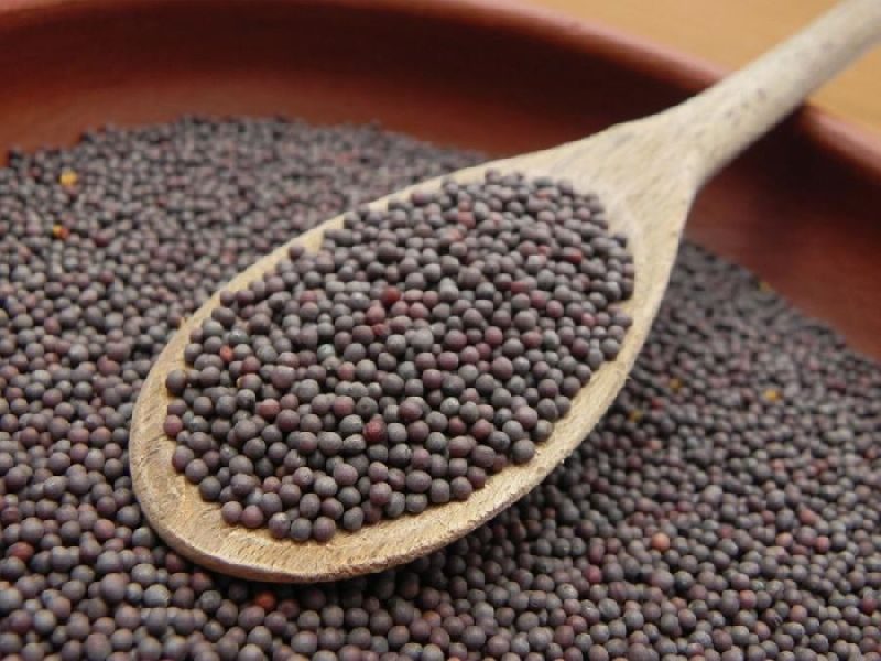 mustard seeds